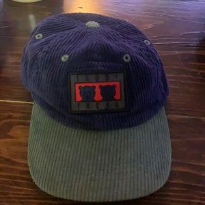 Teddy fresh SnapBack